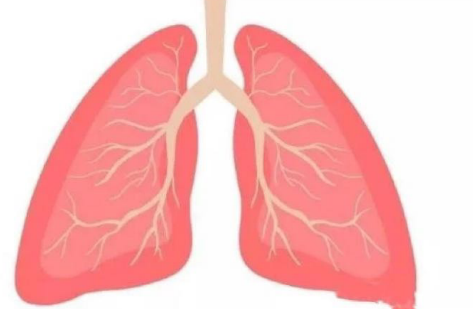 How to keep your lungs healthy