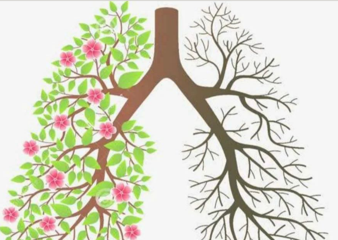 Traditional Chinese medicine talks about lung healthy